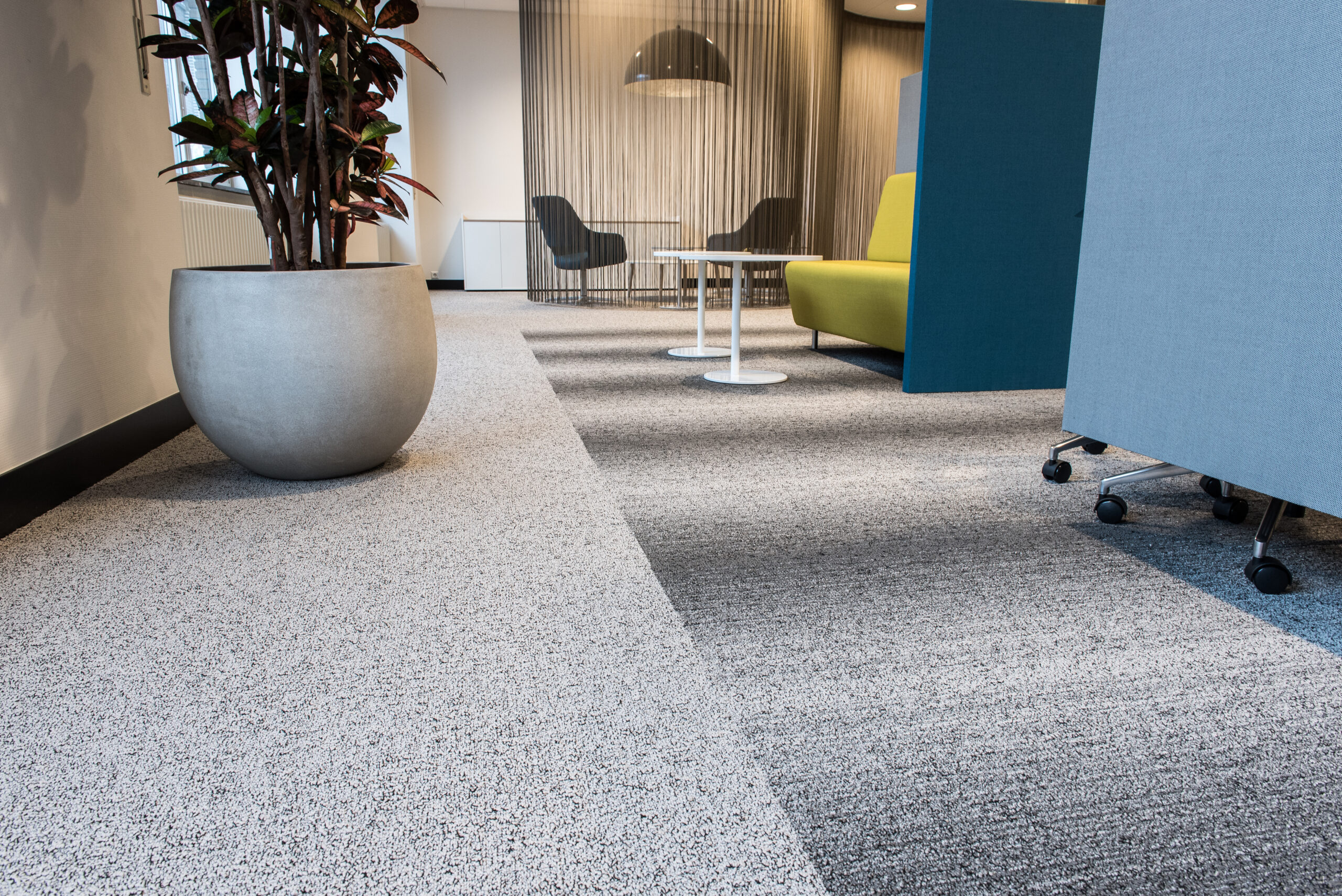 Image of a perfect carpet flooring in Adelaide